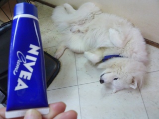 NIVEA