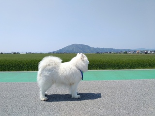 Cȁ`