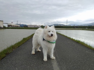 悭グ