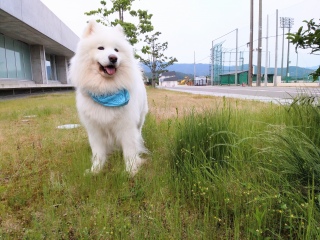 I
