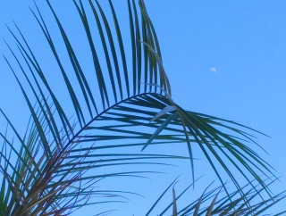 ꂳ܂ł