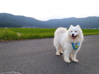 ~J炵񂾂ǂ