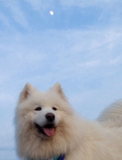 ꂳ܂ł