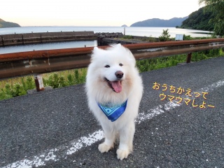 A낻남ɋA