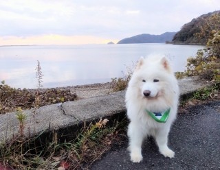 �~���H �~���\���O�H