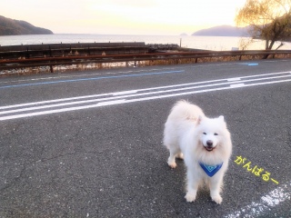 �Ō�̂��x�݂��I���܂���