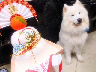 ���N����N�����b�ɂȂ�܂���