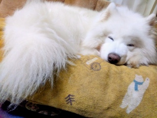 ���� ��������O�A�x�₵