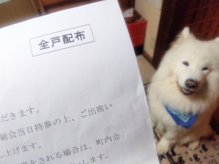 ����̎����ł���