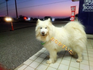 ���������Ȃ��Ă܂��ˁ`