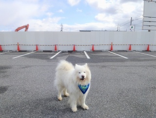 ���͗����