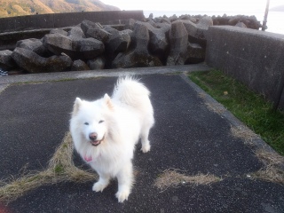 �������̂������H