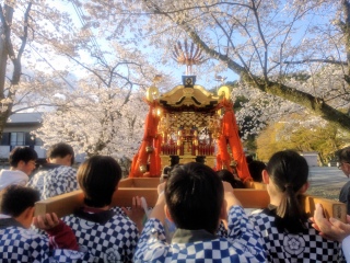 ���b�V���C�I���b�V���C�I