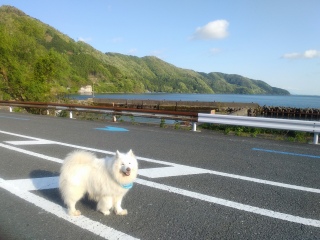 ��������V�΂̋G��